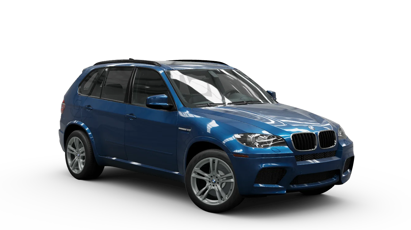 2011 BMW X5 M